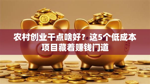 农村创业干点啥好？这5个低成本项目藏着赚钱门道