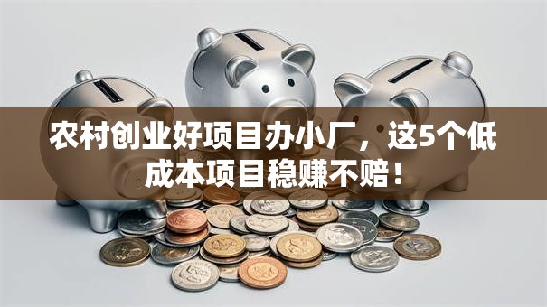 农村创业好项目办小厂，这5个低成本项目稳赚不赔！