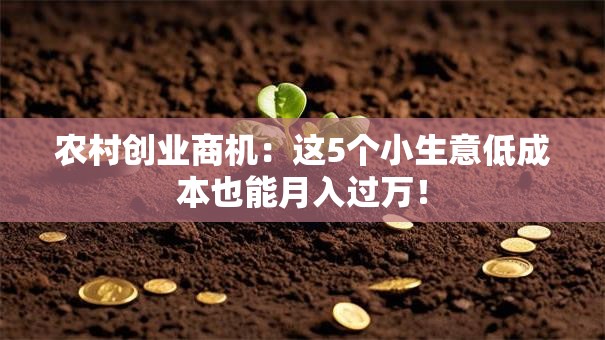 农村创业商机：这5个小生意低成本也能月入过万！