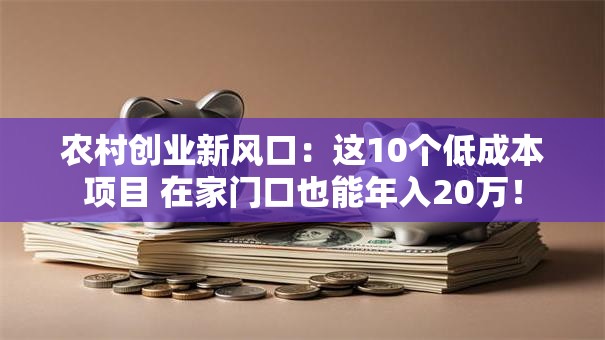农村创业新风口：这10个低成本项目 在家门口也能年入20万！