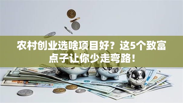 农村创业选啥项目好？这5个致富点子让你少走弯路！