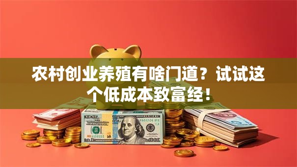 农村创业养殖有啥门道？试试这个低成本致富经！