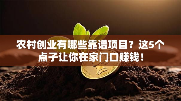 农村创业有哪些靠谱项目？这5个点子让你在家门口赚钱！