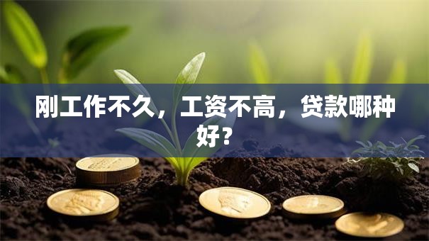 刚工作不久，工资不高，贷款哪种好？