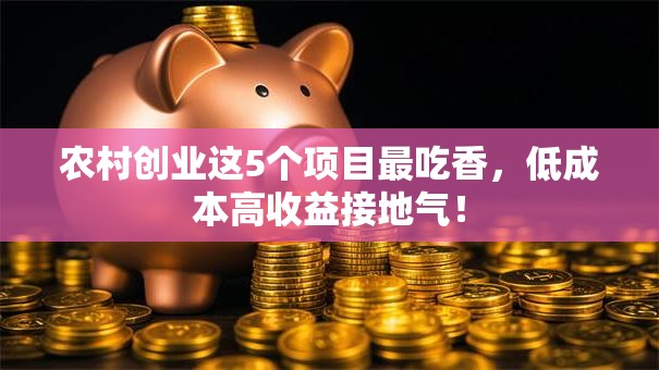 农村创业这5个项目最吃香，低成本高收益接地气！
