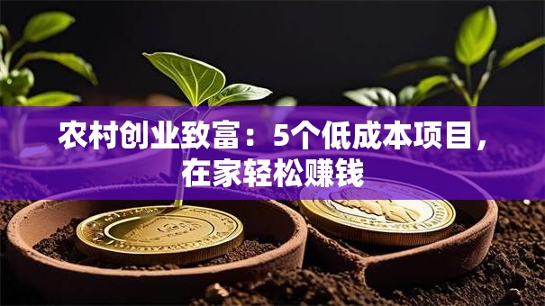 农村创业致富：5个低成本项目，在家轻松赚钱