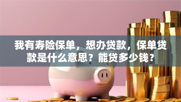我有寿险保单，想办贷款，保单贷款是什么意思？能贷多少钱？