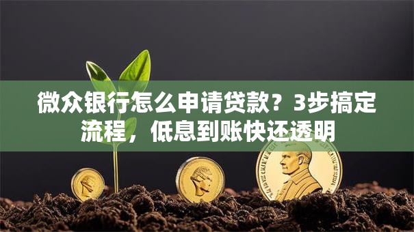 微众银行怎么申请贷款？3步搞定流程，低息到账快还透明