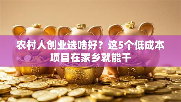 农村人创业选啥好？这5个低成本项目在家乡就能干