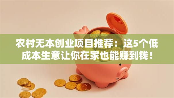 农村无本创业项目推荐：这5个低成本生意让你在家也能赚到钱！