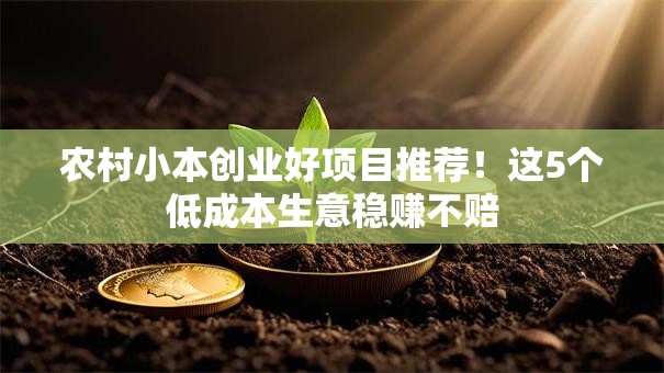 农村小本创业好项目推荐！这5个低成本生意稳赚不赔