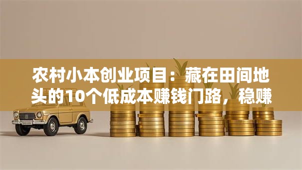 农村小本创业项目：藏在田间地头的10个低成本赚钱门路，稳赚不赔！
