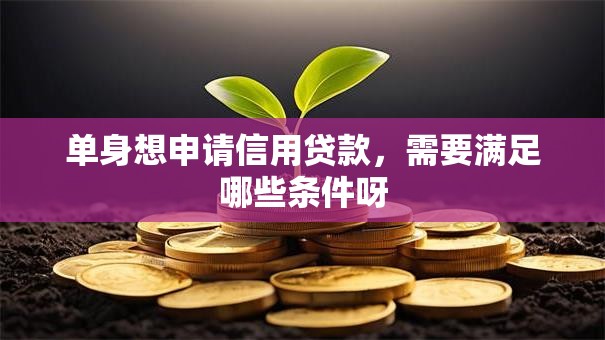 单身想申请信用贷款，需要满足哪些条件呀
