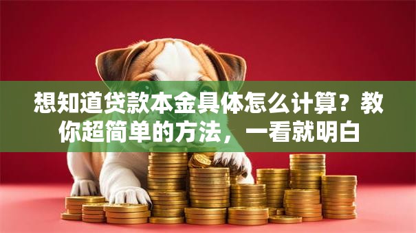 想知道贷款本金具体怎么计算？教你超简单的方法，一看就明白