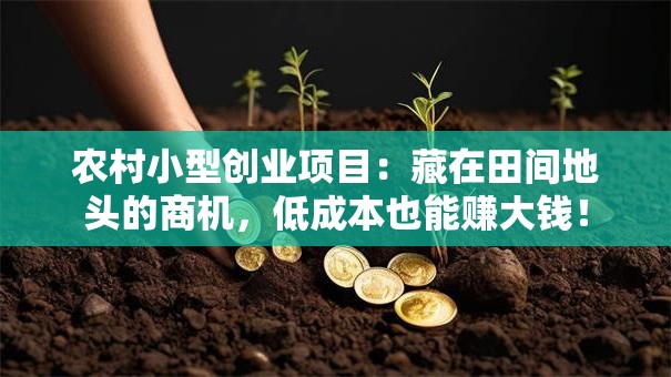 农村小型创业项目：藏在田间地头的商机，低成本也能赚大钱！