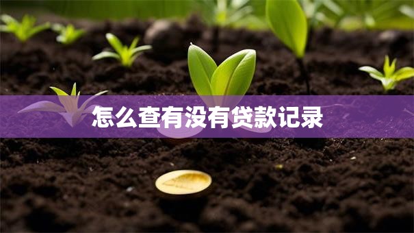 怎么查有没有贷款记录