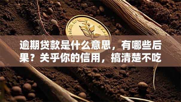 逾期贷款是什么意思，有哪些后果？关乎你的信用，搞清楚不吃亏！
