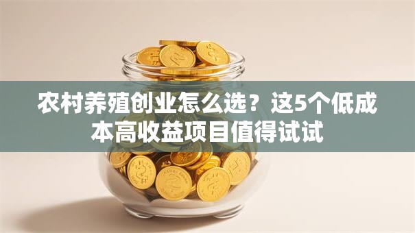 农村养殖创业怎么选？这5个低成本高收益项目值得试试