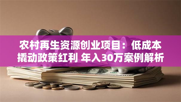 农村再生资源创业项目：低成本撬动政策红利 年入30万案例解析