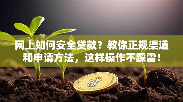 网上如何安全贷款？教你正规渠道和申请方法，这样操作不踩雷！