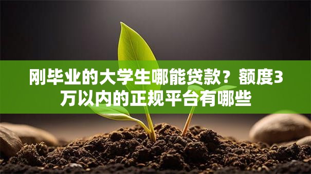 刚毕业的大学生哪能贷款？额度3万以内的正规平台有哪些