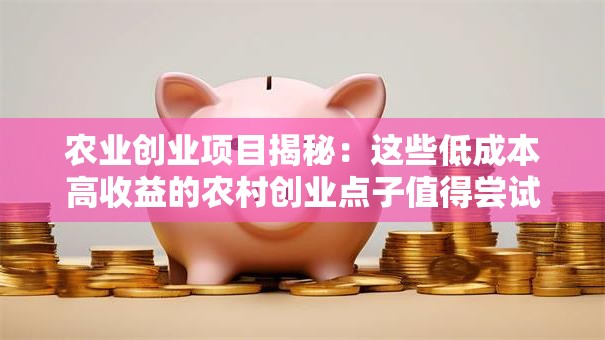 农业创业项目揭秘：这些低成本高收益的农村创业点子值得尝试