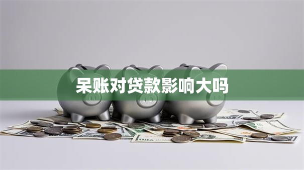 呆账对贷款影响大吗