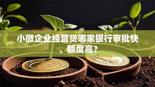 小微企业经营贷哪家银行审批快、额度高？