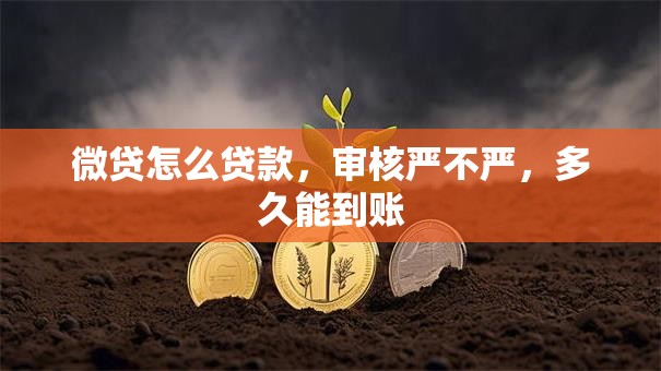 微贷怎么贷款，审核严不严，多久能到账