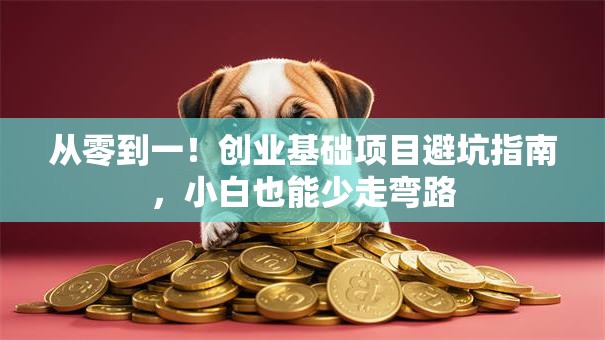 从零到一！创业基础项目避坑指南，小白也能少走弯路