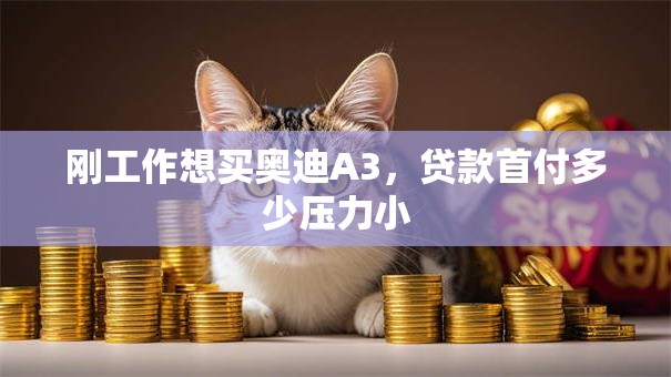 刚工作想买奥迪A3，贷款首付多少压力小
