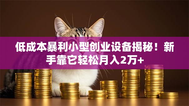 低成本暴利小型创业设备揭秘！新手靠它轻松月入2万+