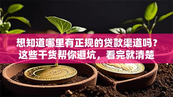 想知道哪里有正规的贷款渠道吗？这些干货帮你避坑，看完就清楚！