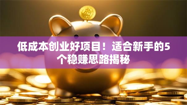 低成本创业好项目！适合新手的5个稳赚思路揭秘