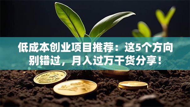 低成本创业项目推荐：这5个方向别错过，月入过万干货分享！