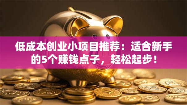 低成本创业小项目推荐：适合新手的5个赚钱点子，轻松起步！