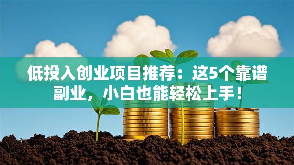 低投入创业项目推荐：这5个靠谱副业，小白也能轻松上手！