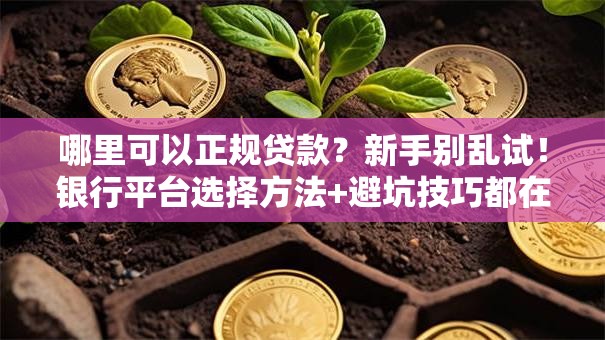 哪里可以正规贷款？新手别乱试！银行平台选择方法+避坑技巧都在这