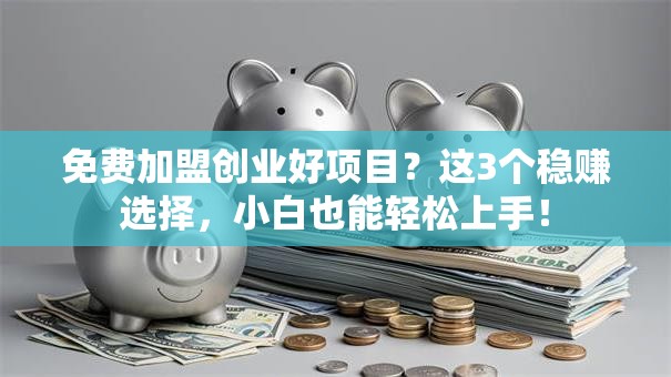 免费加盟创业好项目？这3个稳赚选择，小白也能轻松上手！