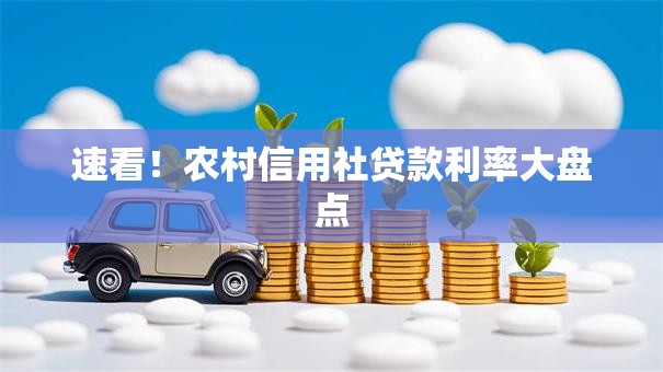 速看！农村信用社贷款利率大盘点