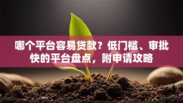 哪个平台容易贷款？低门槛、审批快的平台盘点，附申请攻略