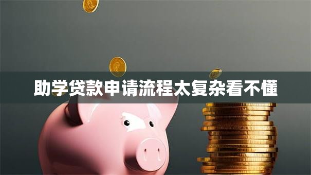 助学贷款申请流程太复杂看不懂