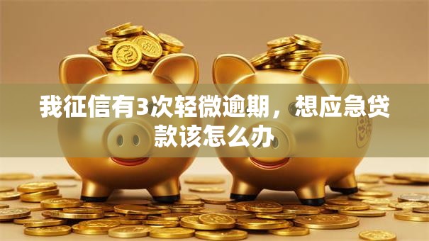 我征信有3次轻微逾期，想应急贷款该怎么办