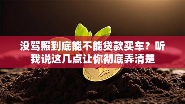 没驾照到底能不能贷款买车？听我说这几点让你彻底弄清楚