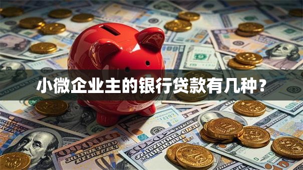 小微企业主的银行贷款有几种？