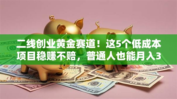 二线创业黄金赛道！这5个低成本项目稳赚不赔，普通人也能月入3万+