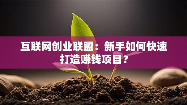 互联网创业联盟：新手如何快速打造赚钱项目？