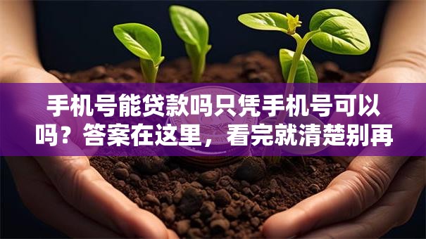 手机号能贷款吗只凭手机号可以吗？答案在这里，看完就清楚别再踩坑！