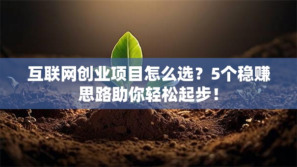 互联网创业项目怎么选？5个稳赚思路助你轻松起步！
