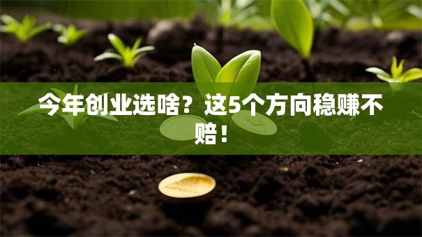 今年创业选啥？这5个方向稳赚不赔！